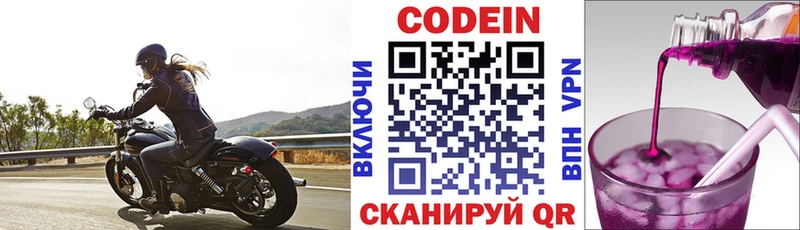 Купить закладки  Вилючинск  Кодеиновый сироп Lean Purple Drank 