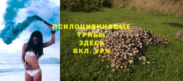 гидропоника Елизово