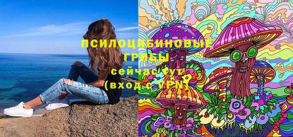 гидропоника Елизово