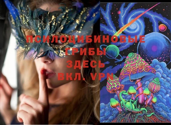 гидропоника Елизово