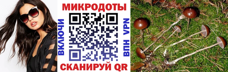 Купить  Вилючинск  Галлюциногенные грибы MAGIC MUSHROOMS 