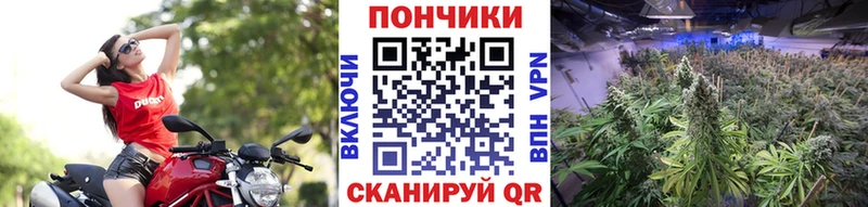 МАРИХУАНА MAZAR  Купить закладки  Вилючинск 